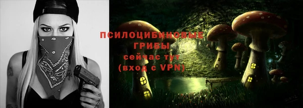 стафф Армянск