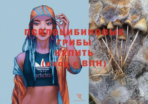 стафф Армянск