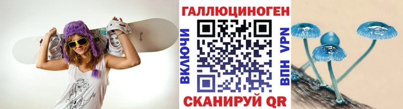купить наркотик  Колпашево  Галлюциногенные грибы мицелий 